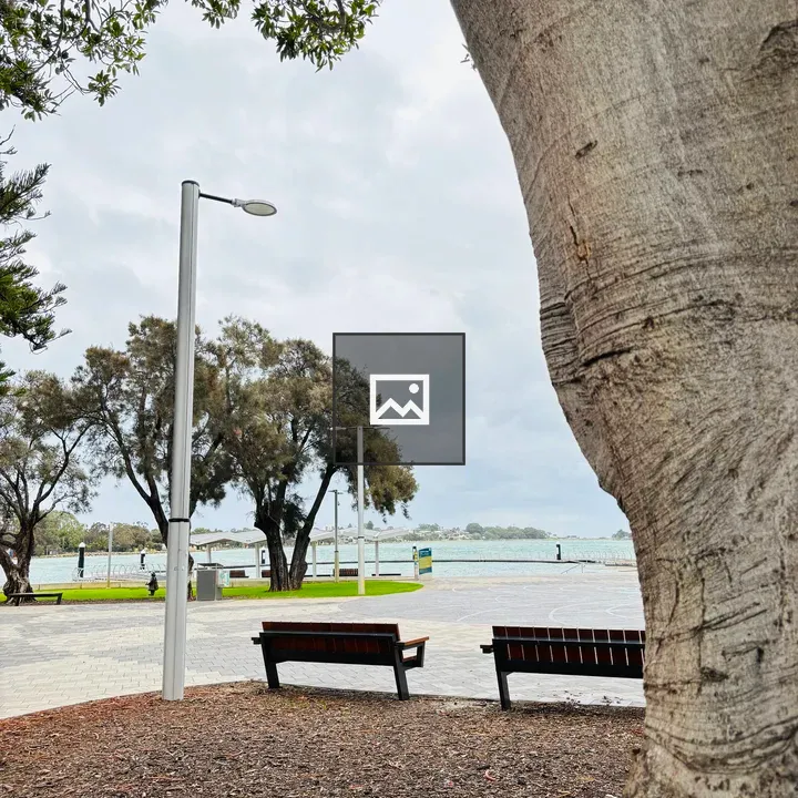 Bench and Tree with Road Light