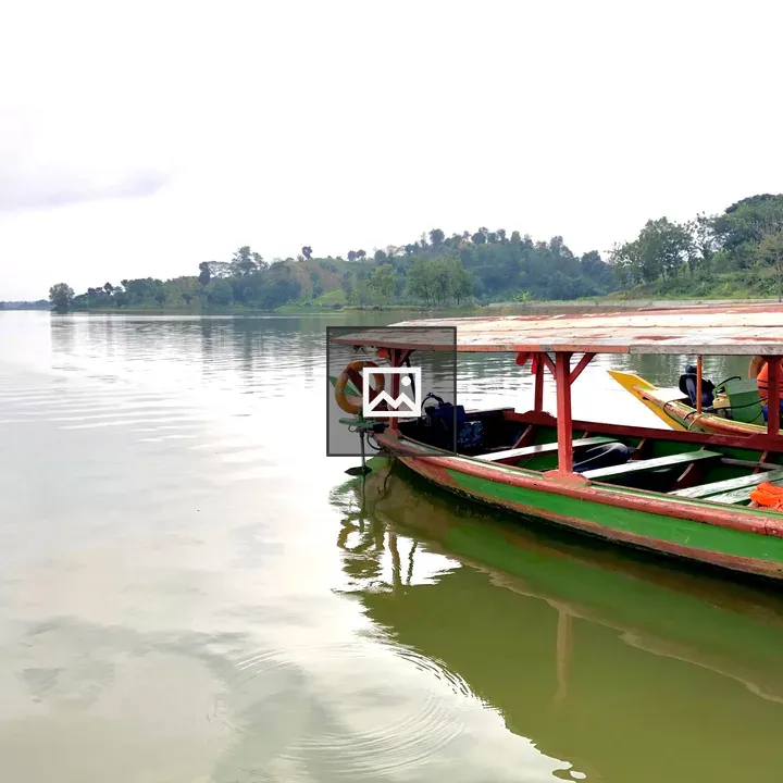 Wooden boats on lake