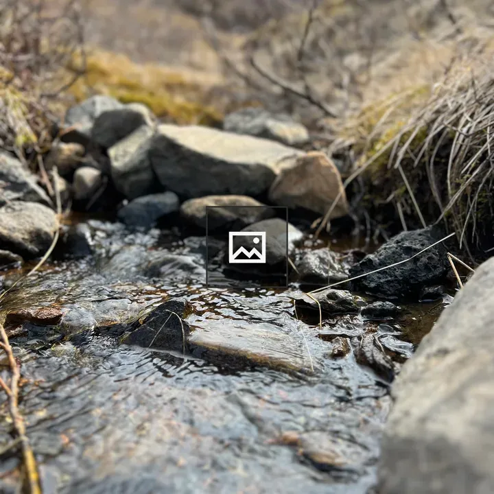 Trickling stream with rocks