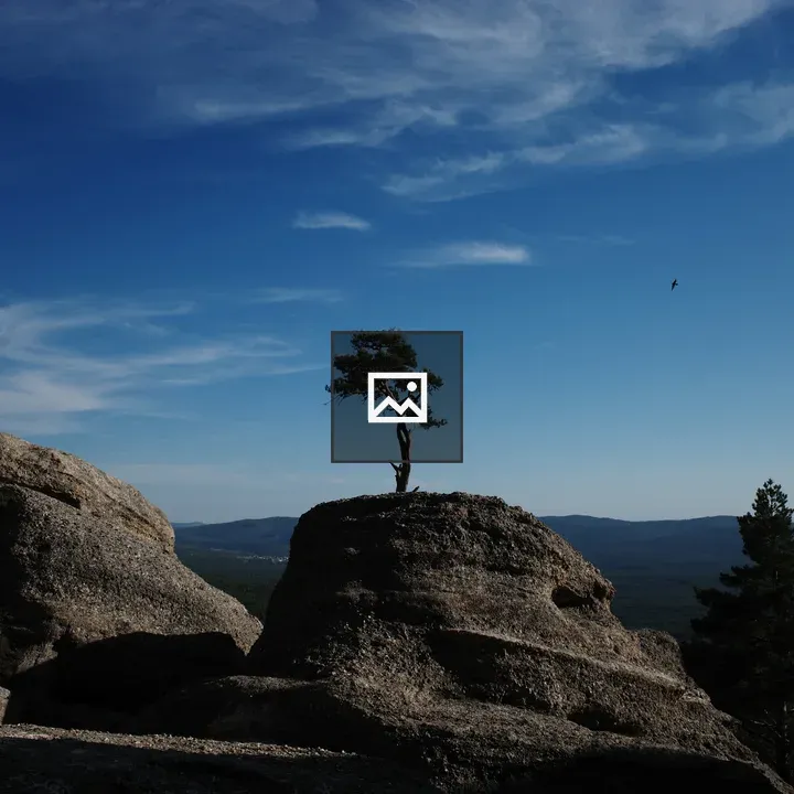 Tree on a Rock in Mountain Landscape