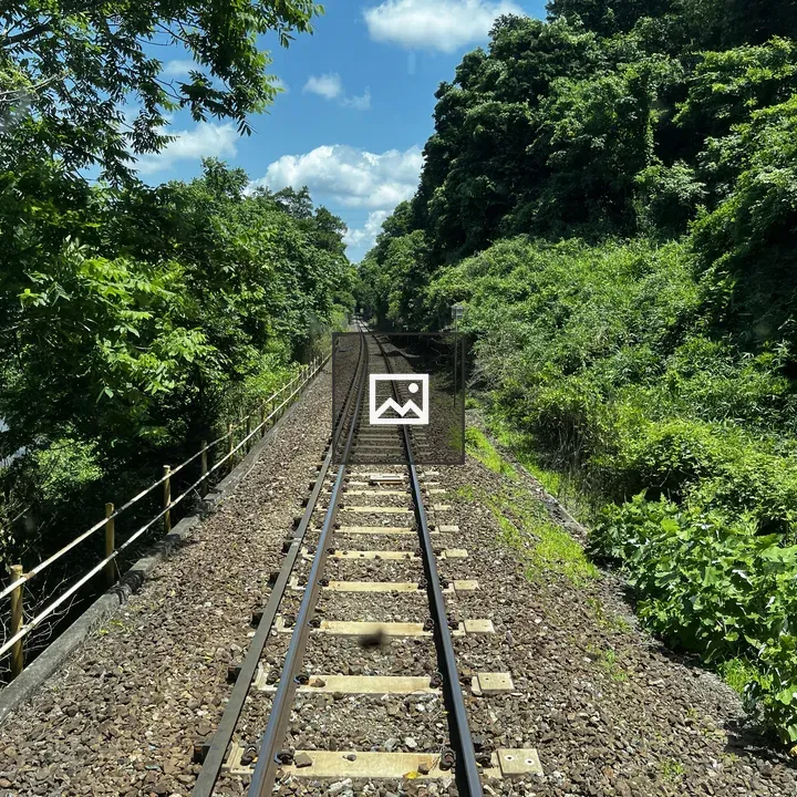 Single-track Railway Through Greenery