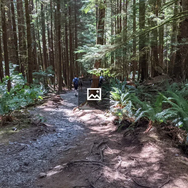 Trail to Mystic Beach