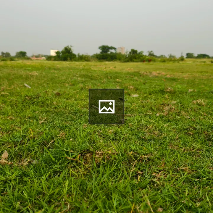 Low angle grassy field with trees