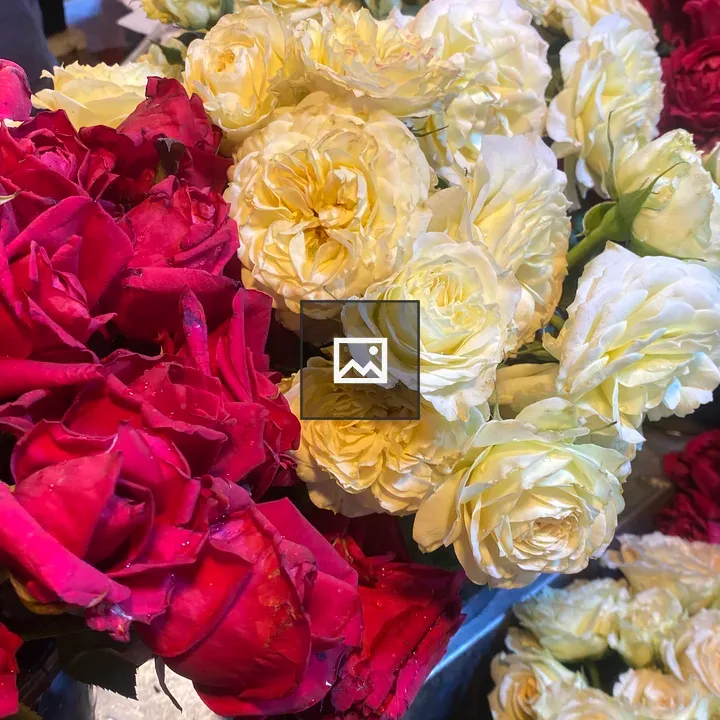 A bouquet of fresh roses