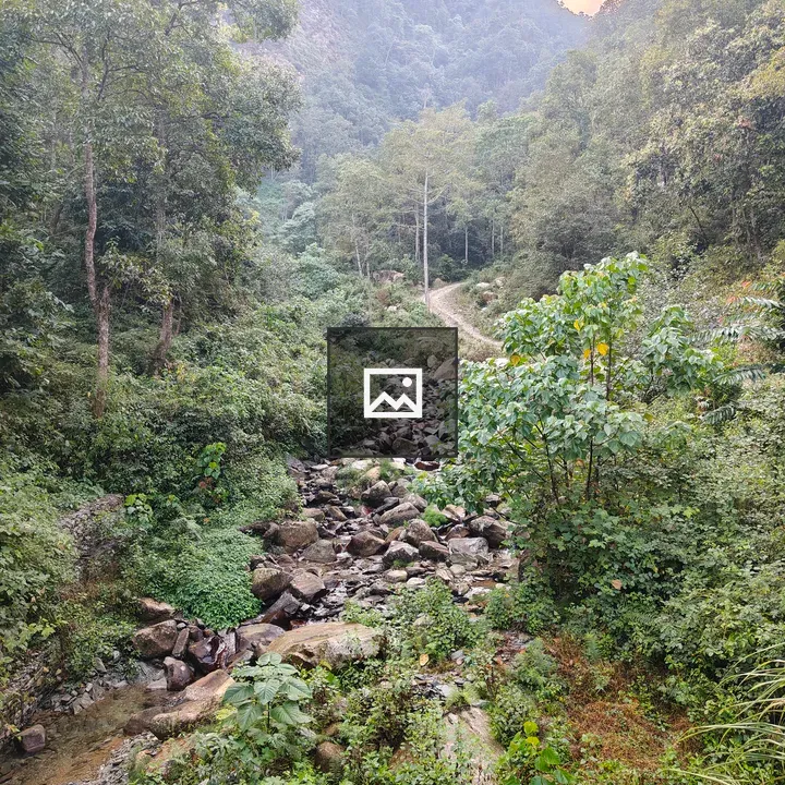 Serene stream among rocks and trees