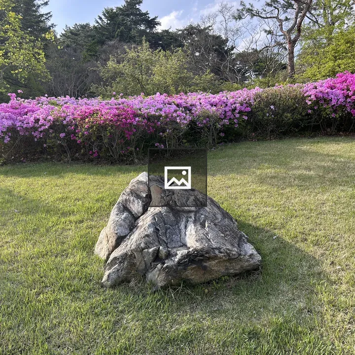 Rock on green grass with azaleas