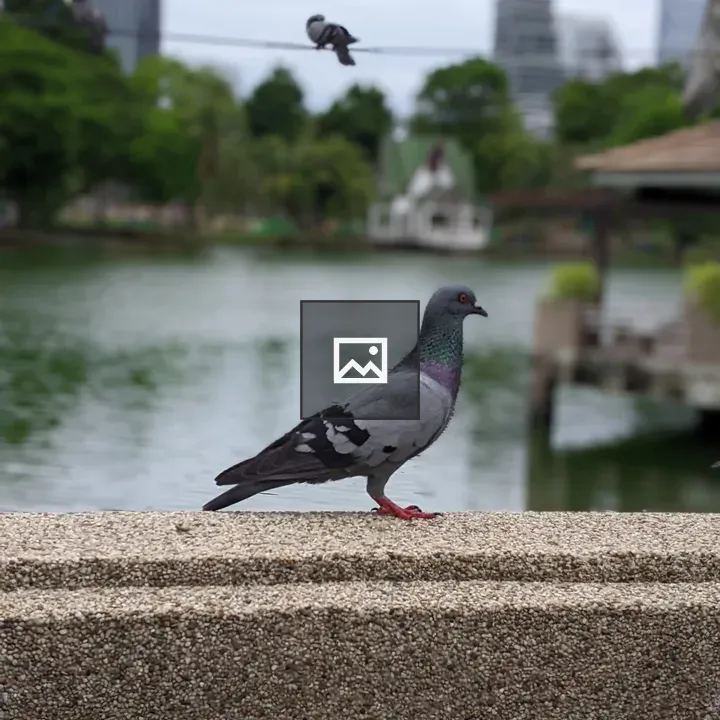 Pigeon on Stone Ledge by Lumphini Park