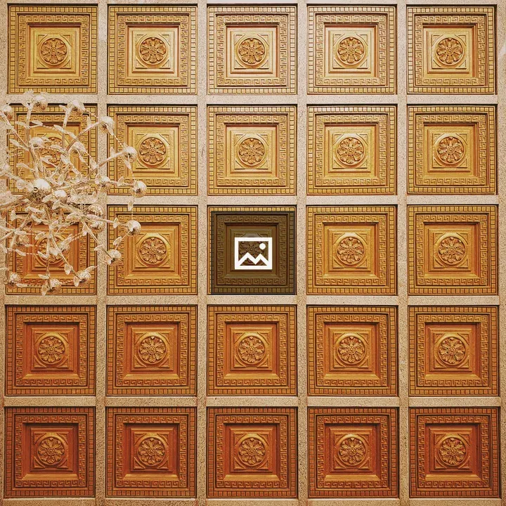 Ornate ceiling with chandelier