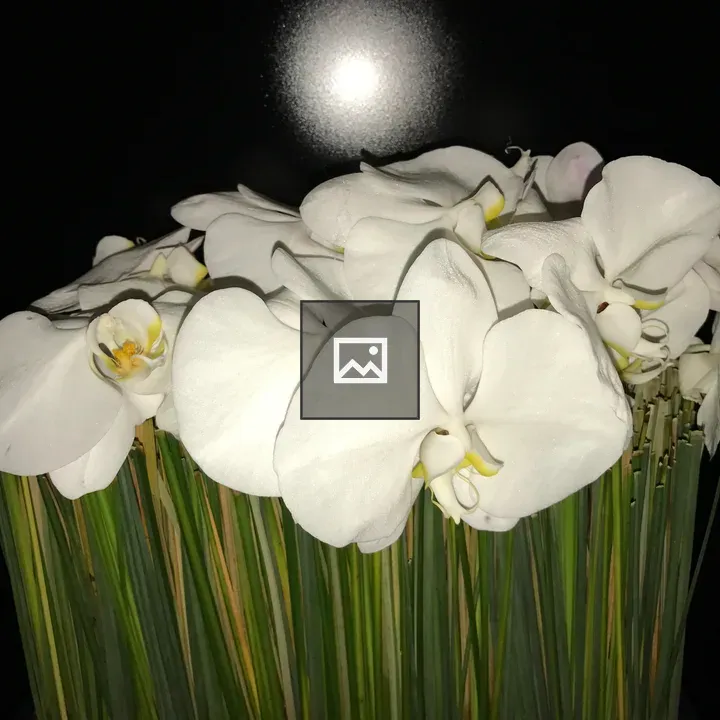 Orchid Bouquet on Black