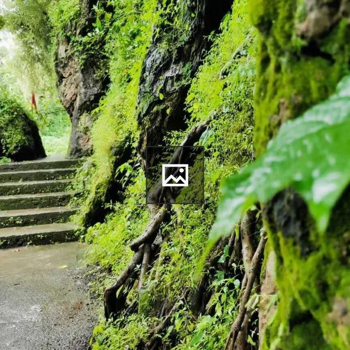 Narrow stone path through forest