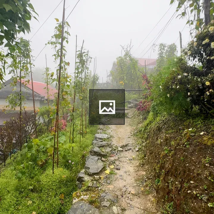 Village Path in Fog