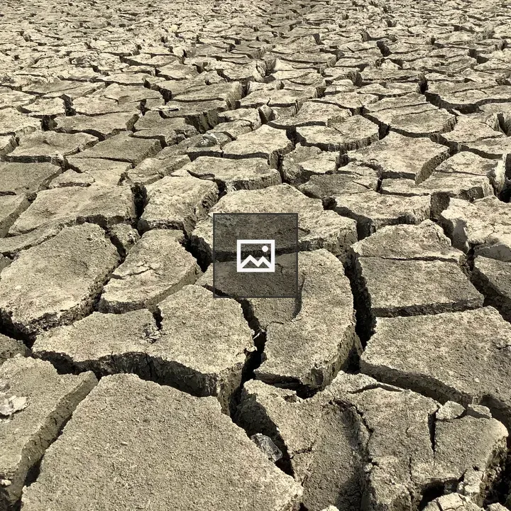 Seasonal dry lakebed in Ballia
