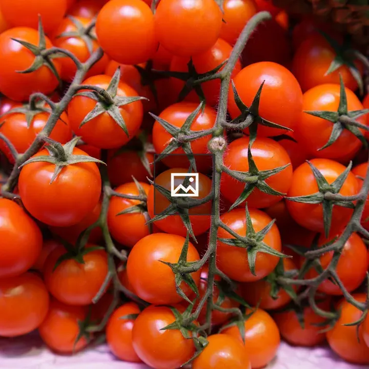 Cherry Tomatoes on Purple Surface