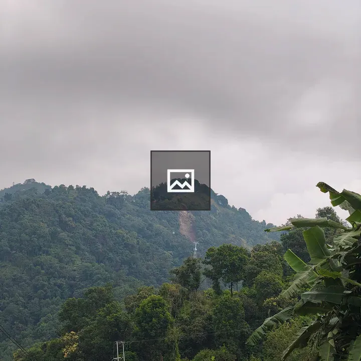 Mist in the Mountain Landscape