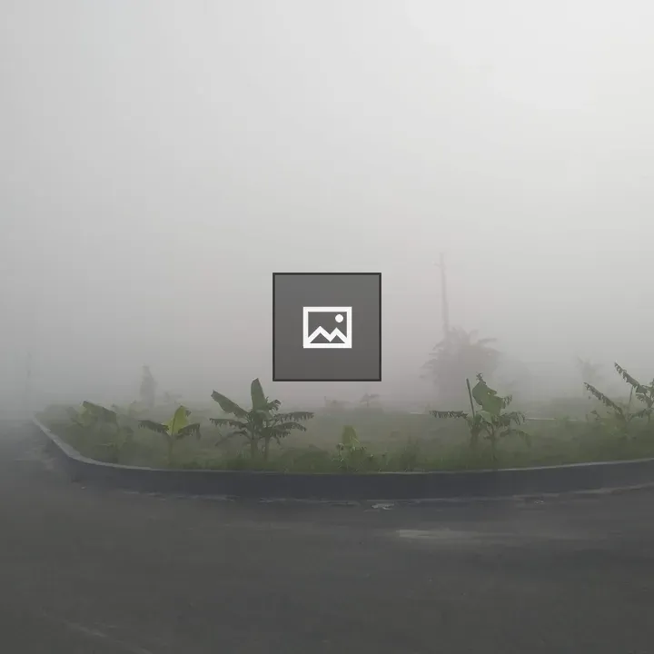 Mist in forest road