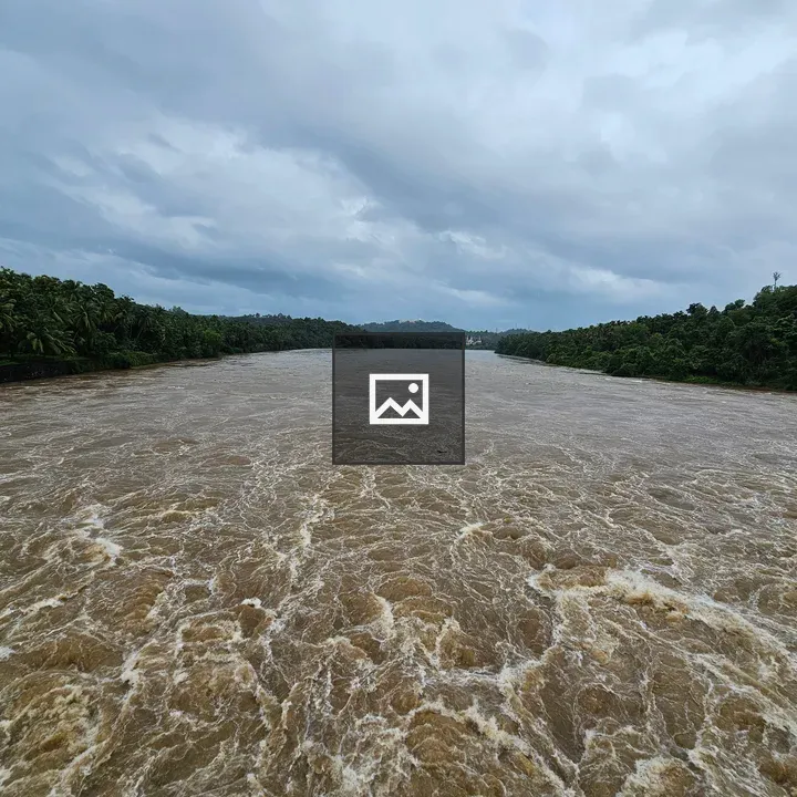 Chaliyar River at Oorkadavu Bridge