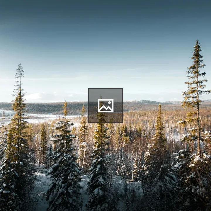 Winter landscape with conifers