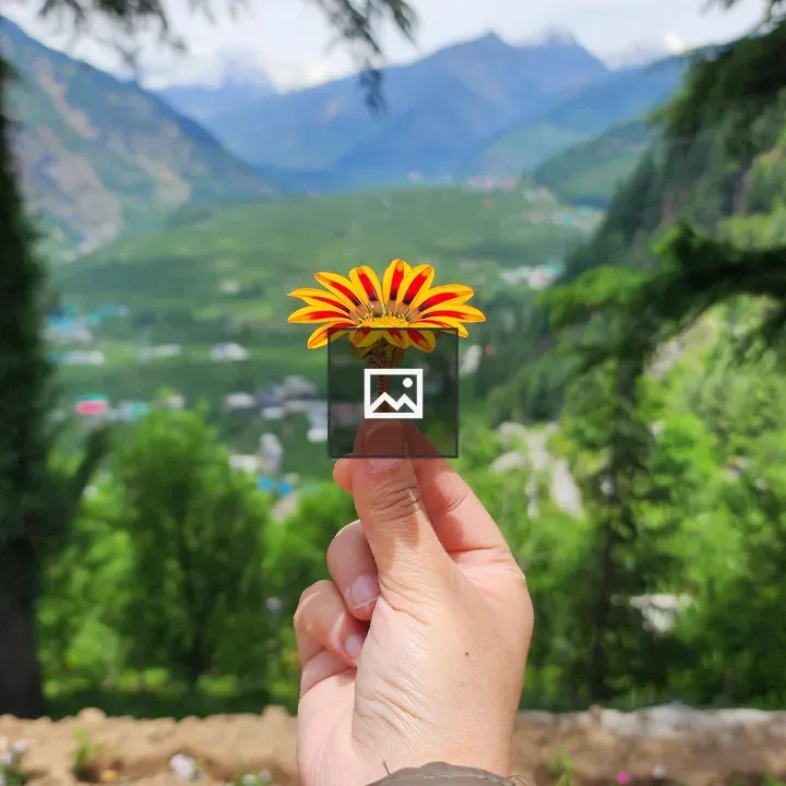 Flower in Hand with Mountain Backdrop