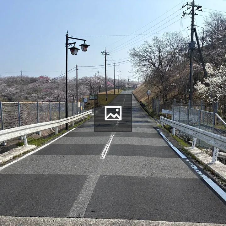 Road with guardrail and trees
