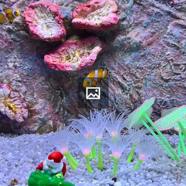 Clownfish near Sea Anemones and Santa Figurine