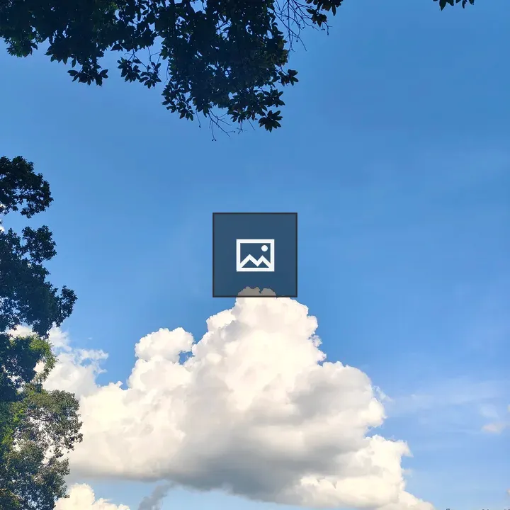 Sky and Leaves Landscape