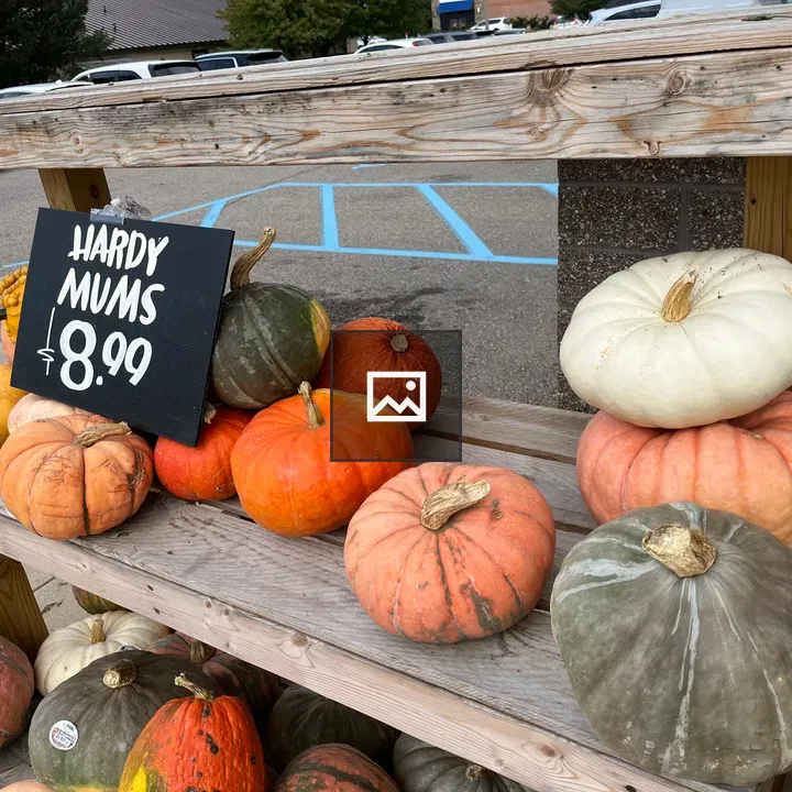 Gourds on display at farm stand