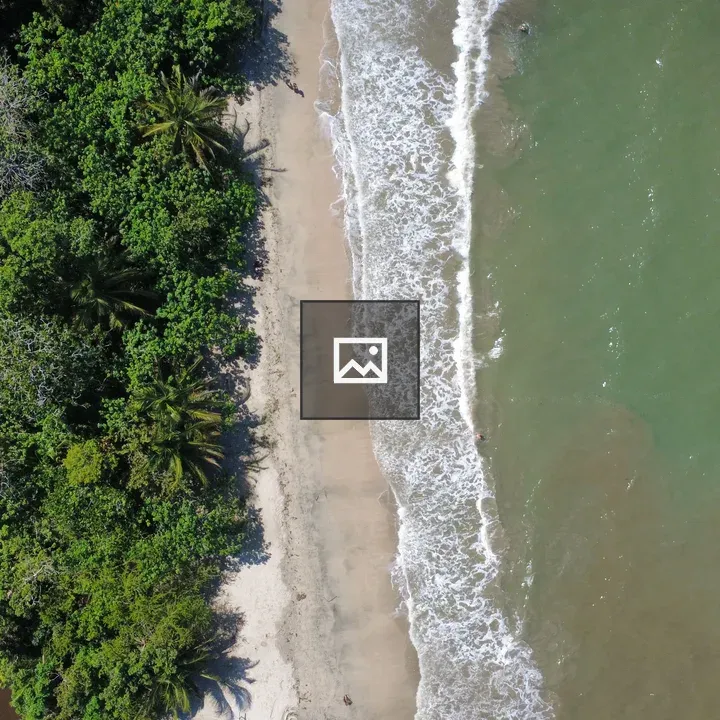 Aerial Coastline Scene