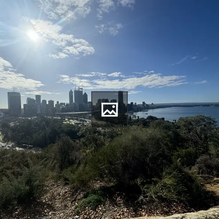 City skyline from hilltop