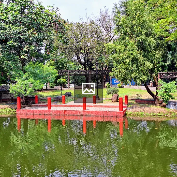 Serene park with green lake