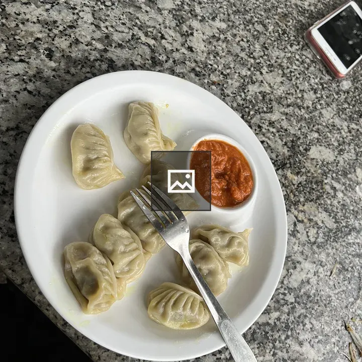 Plate of steamed dumplings