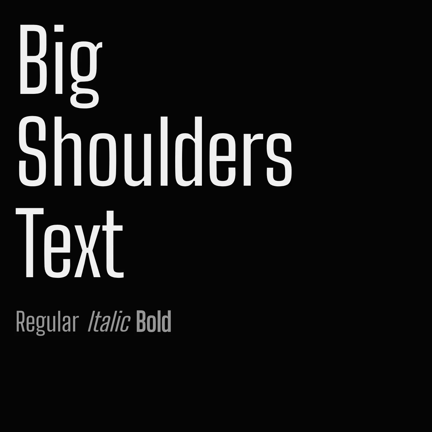 Big Shoulders Text