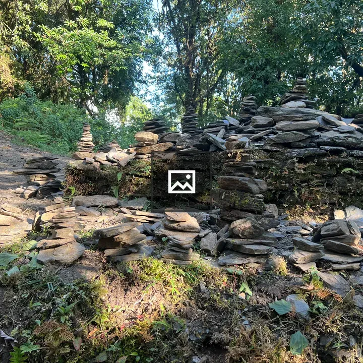 Stone cairns among foliage