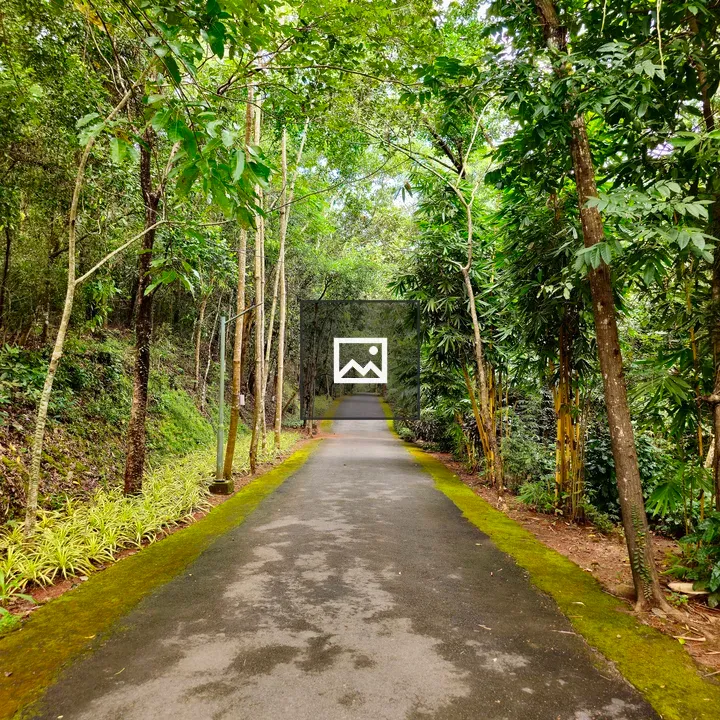 Pathway in Malabar Botanical Garden