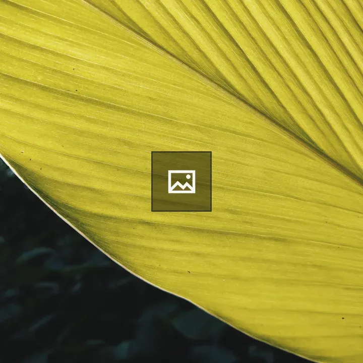Green Leaf