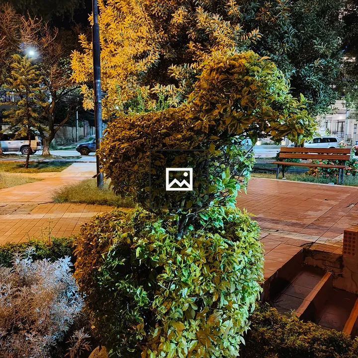 Shrub in Park Night Lighting