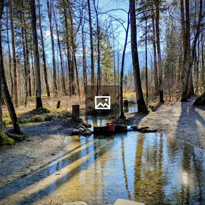Perfect Day Creek Scene
