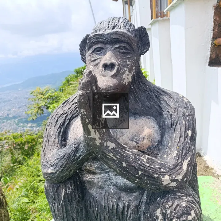 Monkey statue in meditative pose