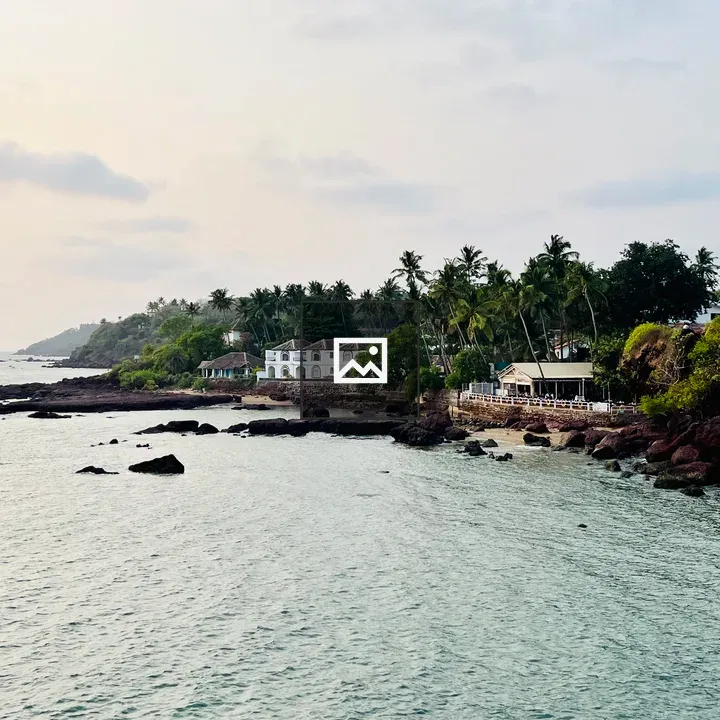 Coastal scenery with white buildings and palm trees