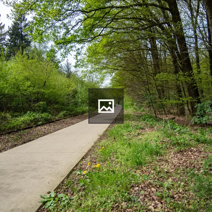 Bike Path by Abandoned Trail
