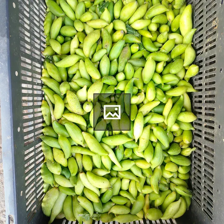 Green Fruits in Black Crate