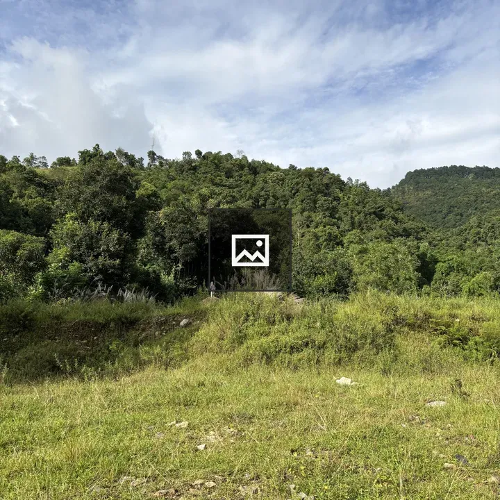 Green hillside landscape