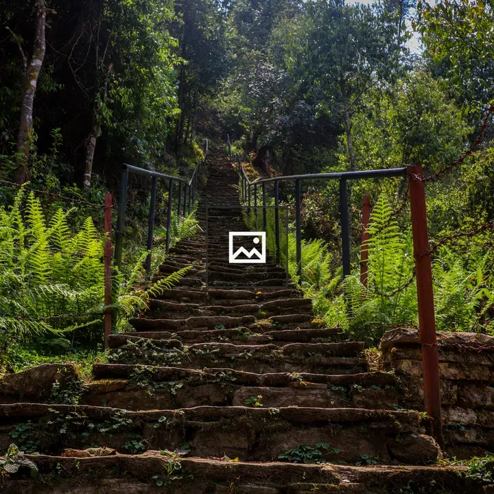 Stone paved stairs