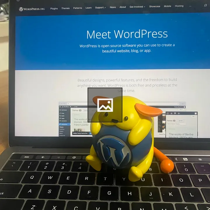 Wapuu with WordPress
