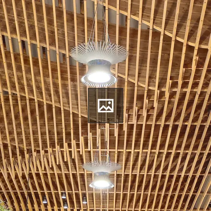 Pendant Lights at Airport Ceiling