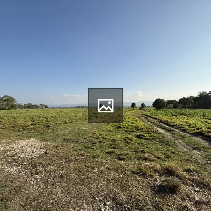 Grassy field under blue sky