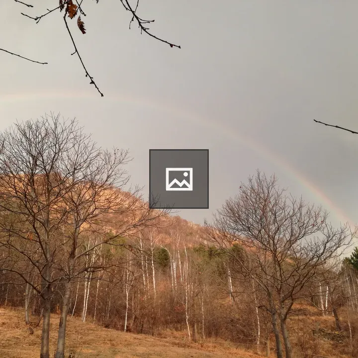 Mountain Rainbow Forest