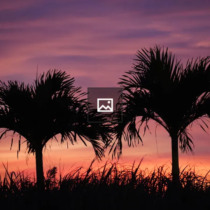 Sunset Coconuts