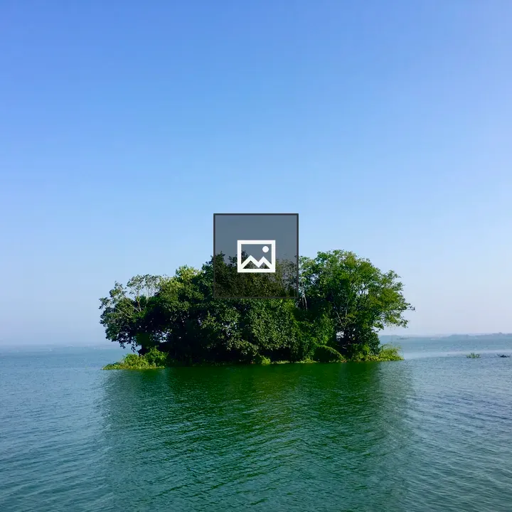 Trees on the Water at Kaptai Lake
