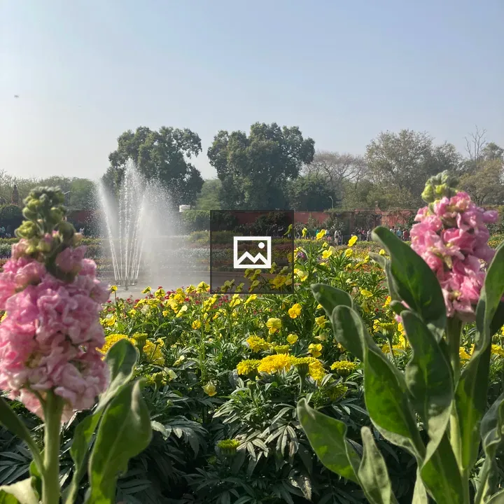 Flower with Fountain