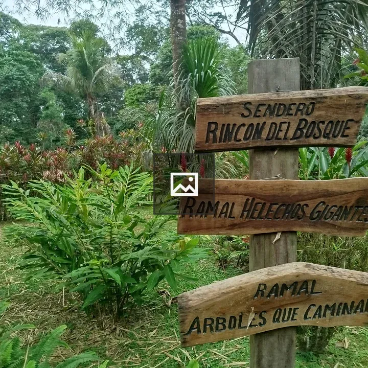 Trail signs in lush tropical forest